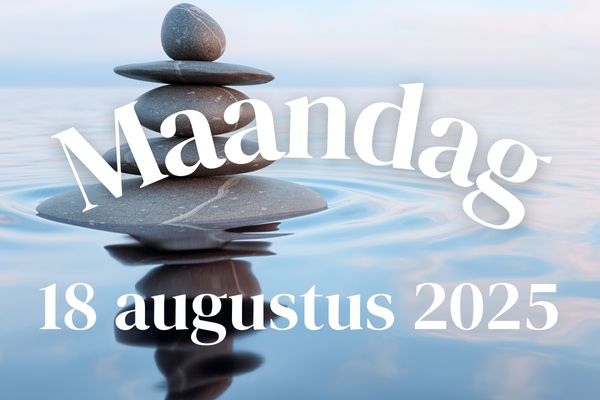 Uitslag tweede scan