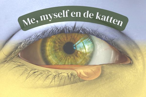 Me, myself en de katten